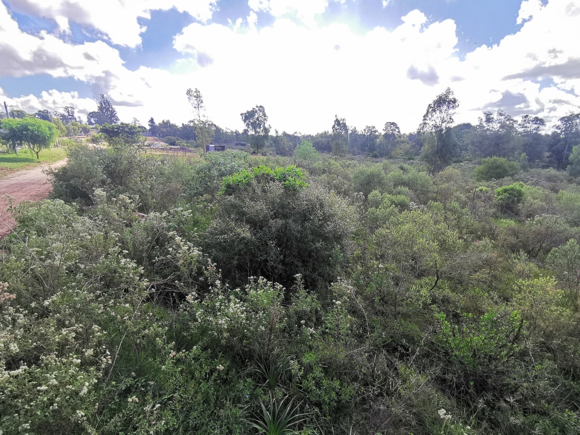 Terreno en Venta Arenitas Blancas Inmobiliaria La Porta